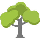 Milford Tree Removal Service