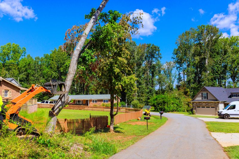 Tree Removal Vehicle